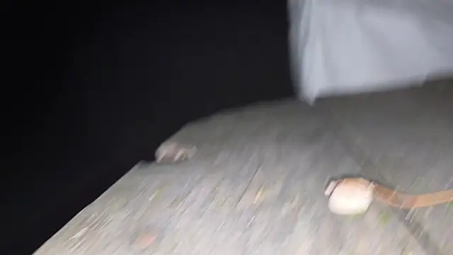 Vuitton webcam