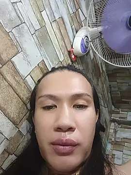 manilafoxts webcam