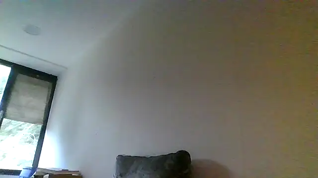 Janssen88 webcam