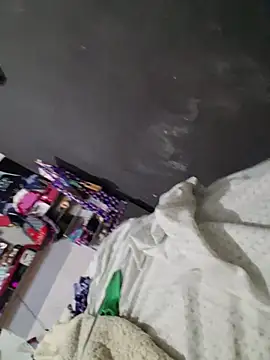 vidmaka webcam