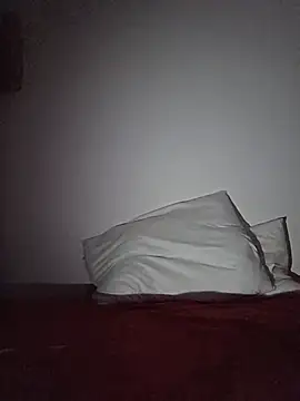 altinya webcam