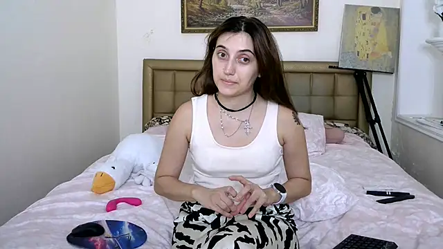 Iren webcam