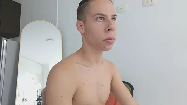 grey___27 webcam