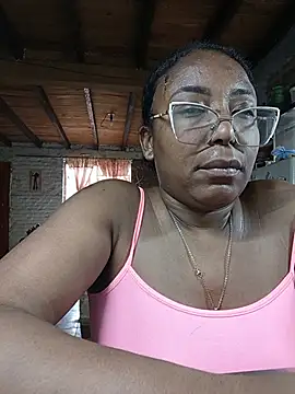ChanneldelaCroix webcam