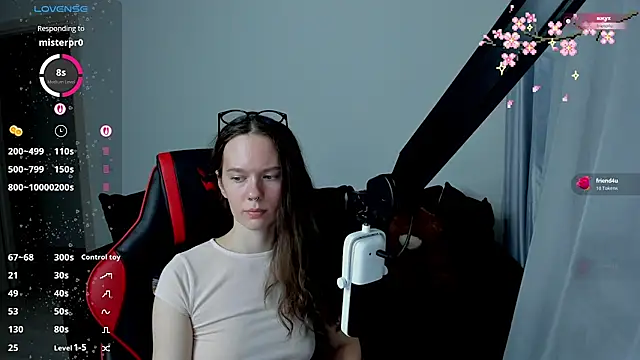 Vulgar_Tamer webcam