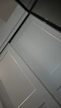 ZeldaSneakyLink webcam
