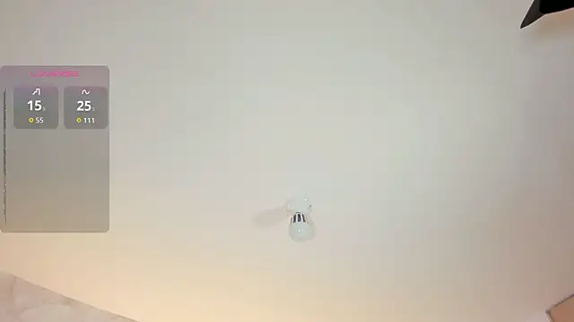 NOVACY-SANTOS webcam
