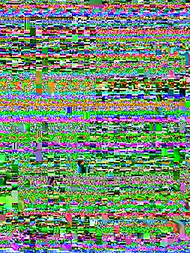 hakilka2 webcam
