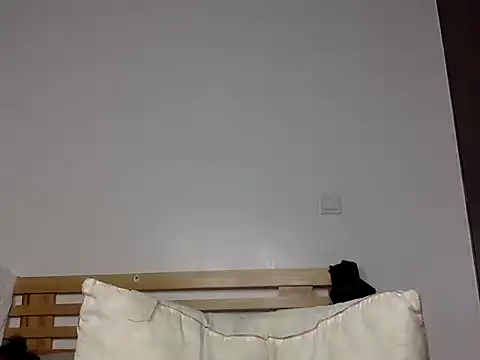 ZuriCharm webcam