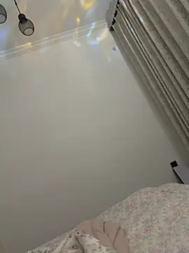 liu-bao webcam