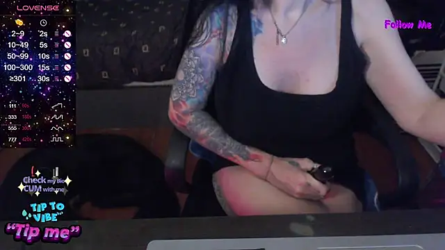VenusX webcam
