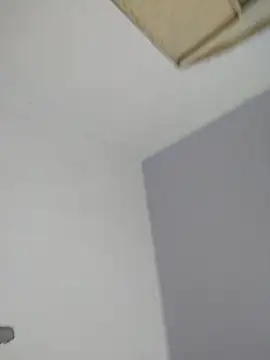 Rafaelayamazaki webcam