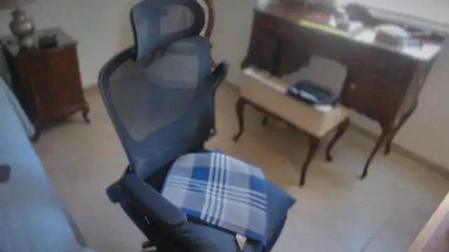 twdspunpig webcam