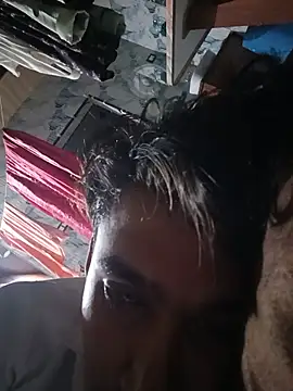 silverarmy5 webcam