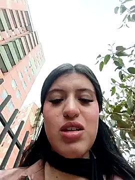 SALOME-28_ webcam