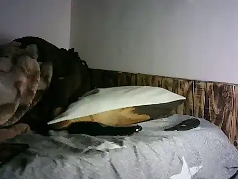 TryingExpiry webcam