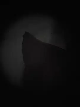 pauzinpeq webcam