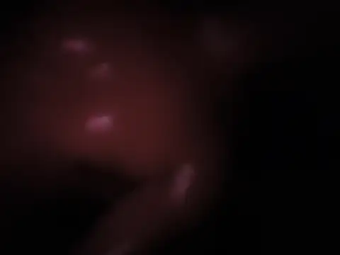 youngestOjta webcam