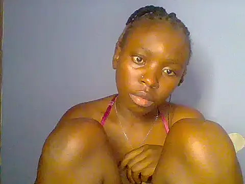 Chocolate-brownie webcam