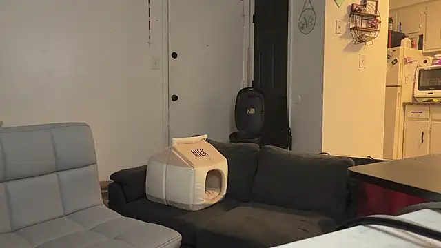 HighOffCandy webcam