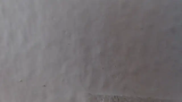 alexam_gal@xh webcam