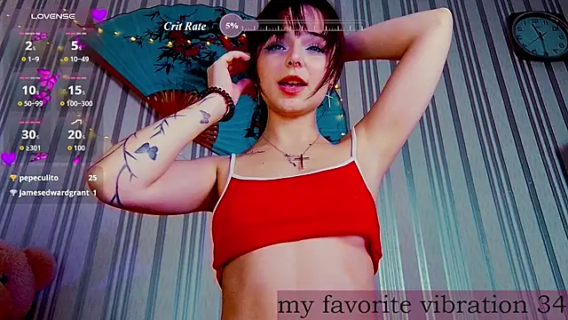 ArianaLight webcam