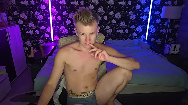 Vuitton webcam