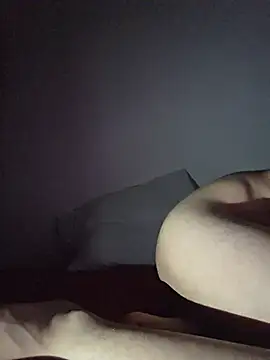 altinya webcam