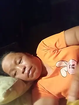 Ip34 webcam