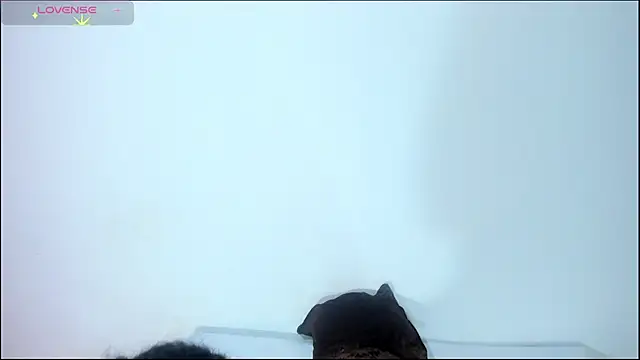 TAYRA_CASTLE webcam