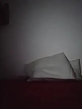 altinya webcam