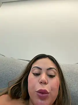 lariic webcam
