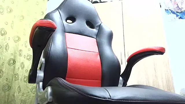 b1520 webcam