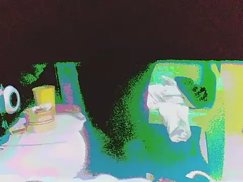 DripDiva webcam