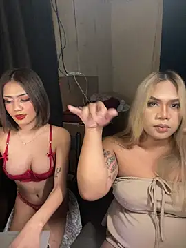 Saffarah webcam