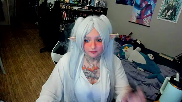 crystal_musee webcam