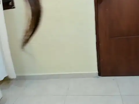 isabelabby webcam