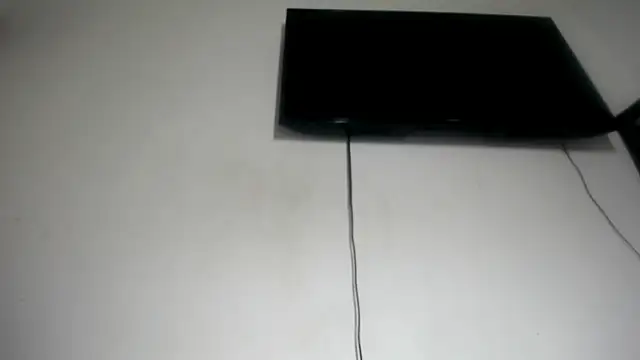 Fox_Loves webcam