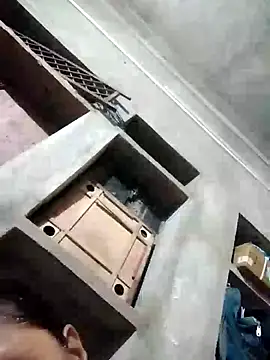 Loomaraj webcam