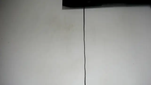 Fox_Loves
