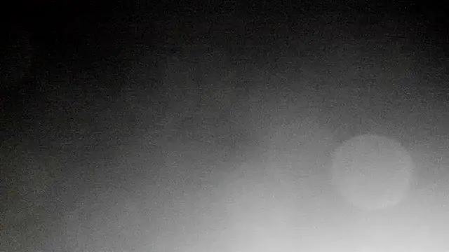 evanscollins webcam