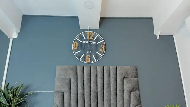 Robin_Rief webcam