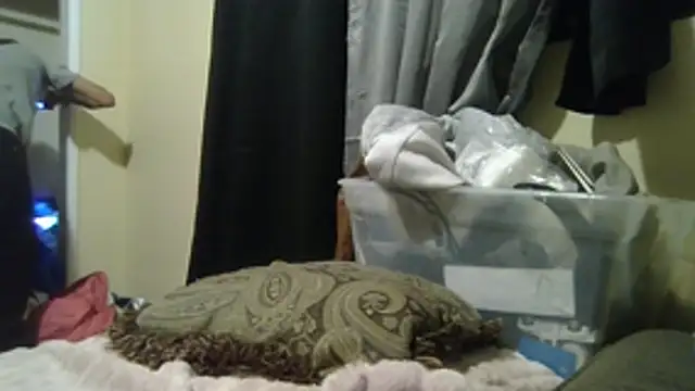 OscarbidD661 webcam