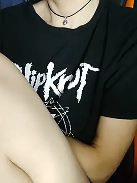 Aashikalaa webcam