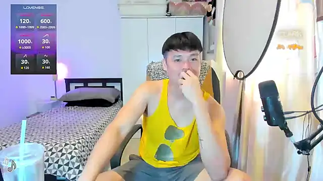 clarkdangerous webcam