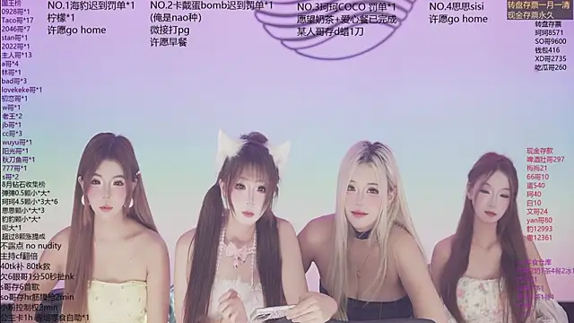 Sw-001 webcam