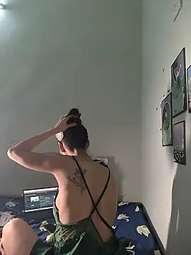 Pu688 webcam