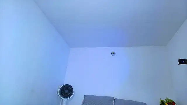 SARA_TS_FOX webcam