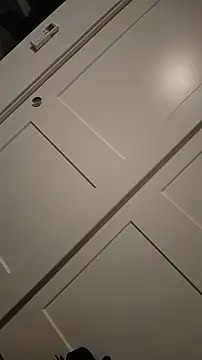 ZeldaSneakyLink webcam