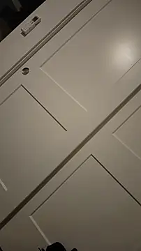 ZeldaSneakyLink webcam